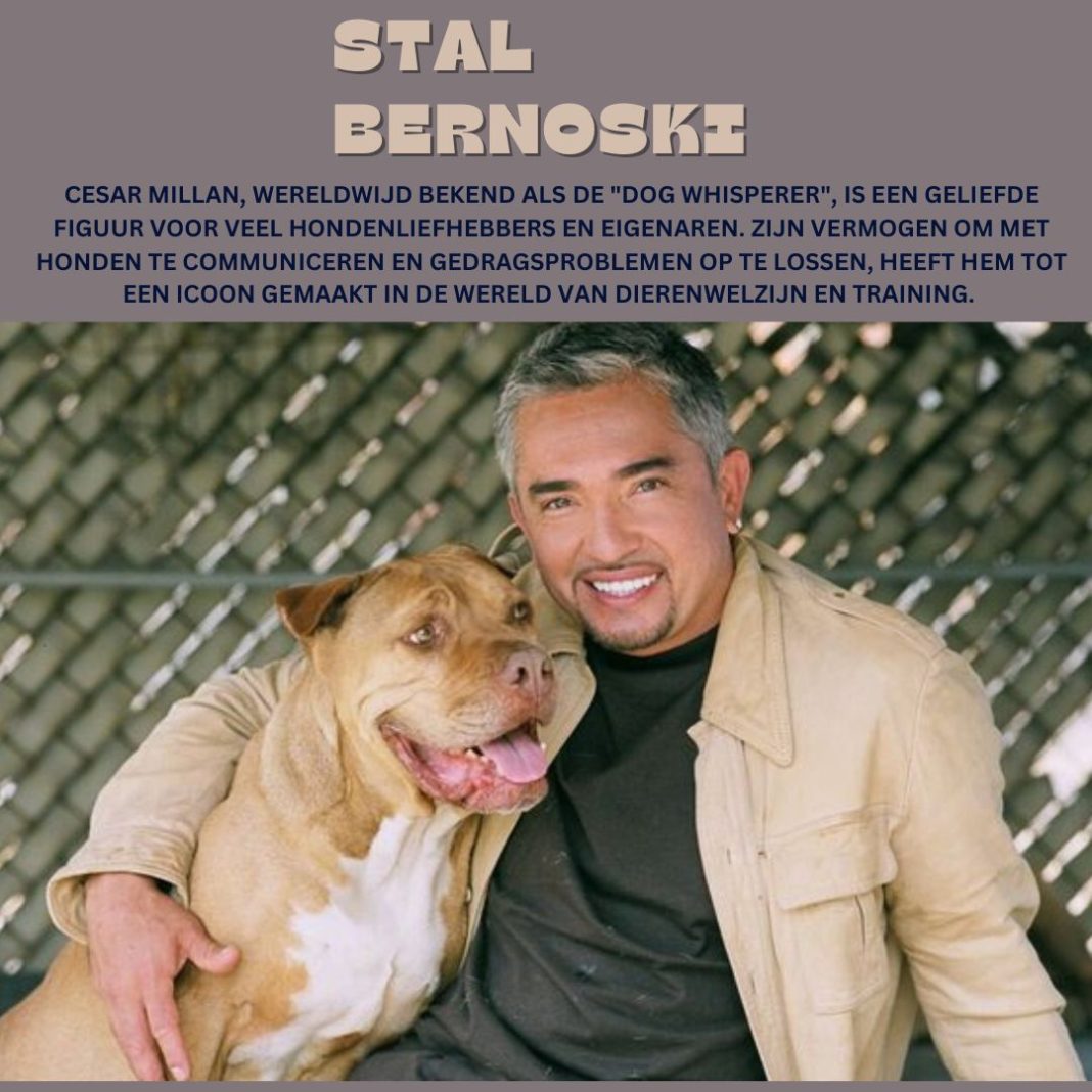 Cesar Millan Doodsoorzaak Geruchten en Feiten Over de Hondentrainer